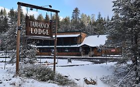 Tamarack At Bear Valley